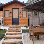 Bujtina Musta