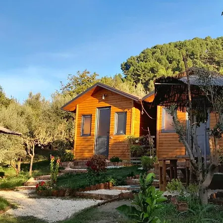 Bujtina Musta Lantställe Berat