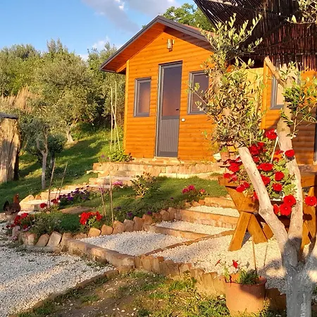 Bujtina Musta Lantställe *