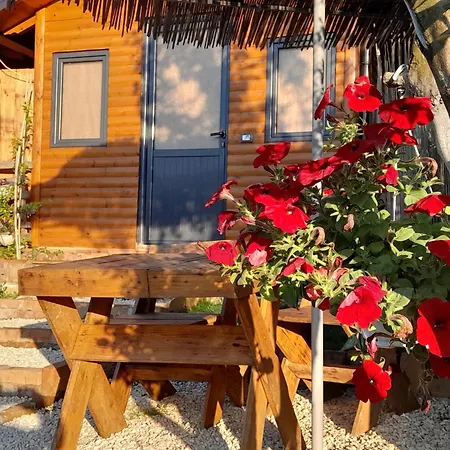 Bujtina Musta Lantställe Berat