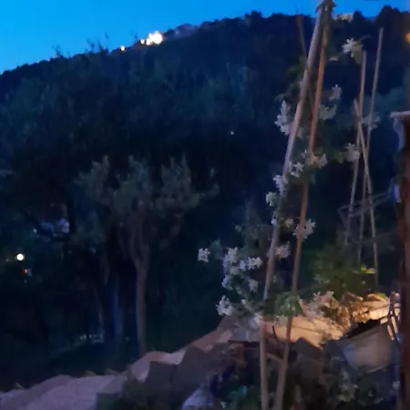 Bujtina Musta Lantställe