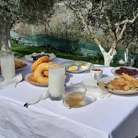 Bujtina Musta Lantställe Berat