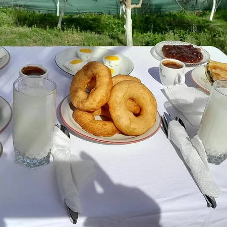 Bujtina Musta Hétvégi ház Berat