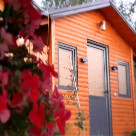 Hétvégi ház Bujtina Musta