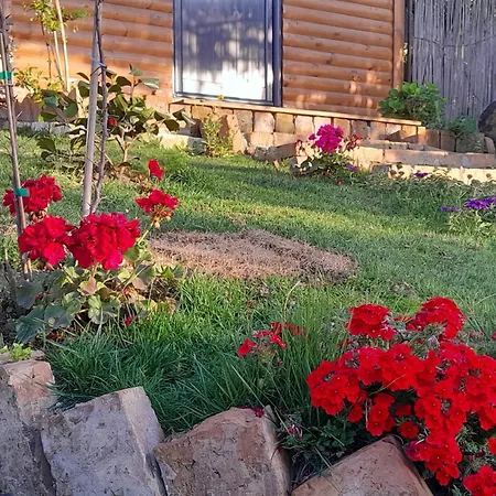 Hétvégi ház Bujtina Musta Berat