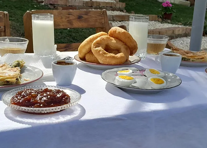 Bujtina Musta 乡村民宿 *