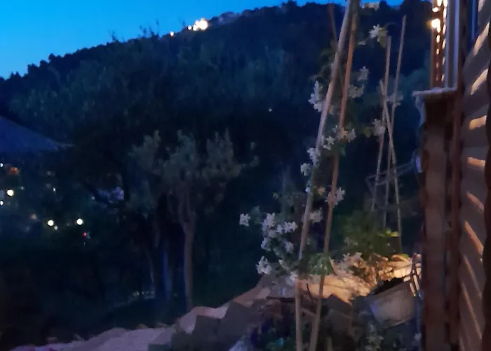 Bujtina Musta 乡村民宿