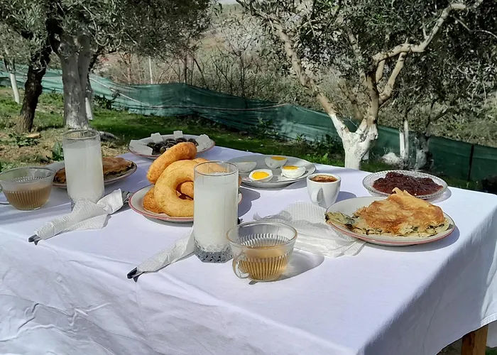 Bujtina Musta 乡村民宿 培拉特