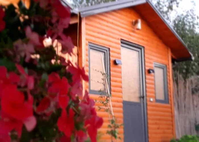 乡村民宿 Bujtina Musta