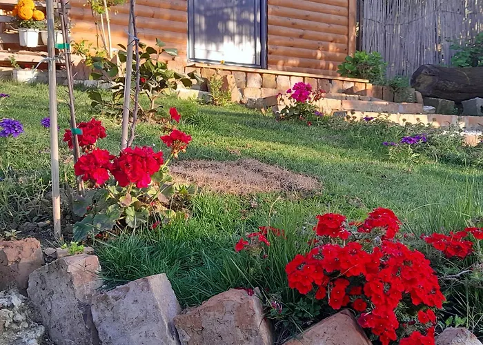 乡村民宿 Bujtina Musta 培拉特