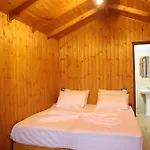 Bujtina Musta * Berat