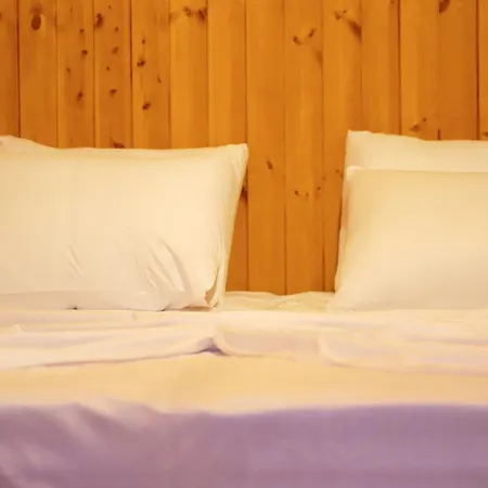 Country house Bujtina Musta Berat