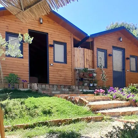 Country house Bujtina Musta Berat