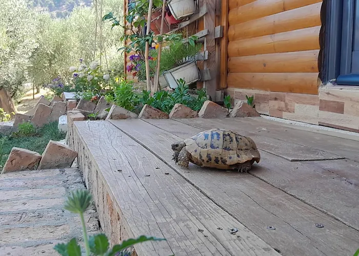 Bujtina Musta Country house *
